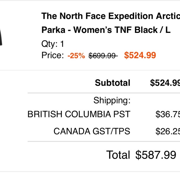 The north face expedition parka L - Picture 3 of 5